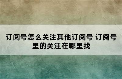 订阅号怎么关注其他订阅号 订阅号里的关注在哪里找